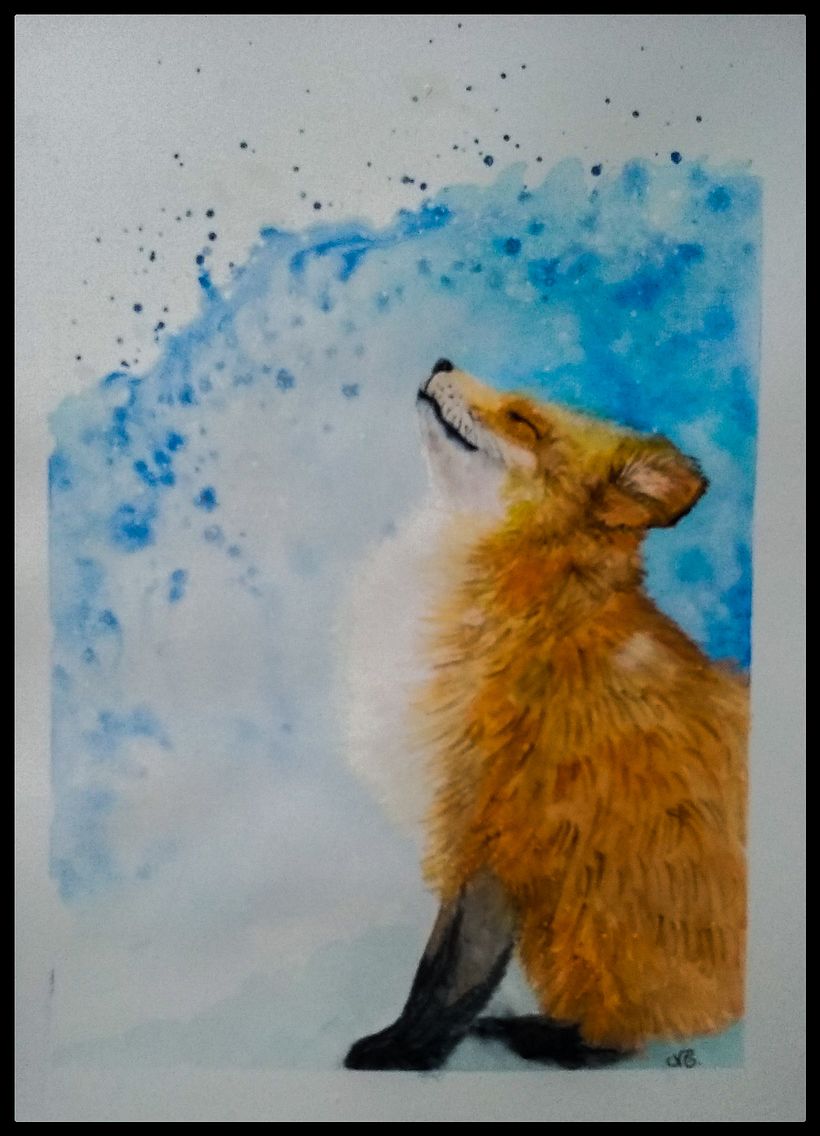 Retrato expressivo de animais  1