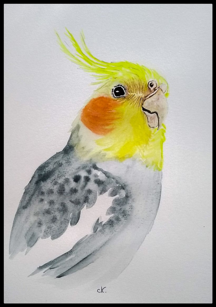 Aquarela naturalista com expressão  1