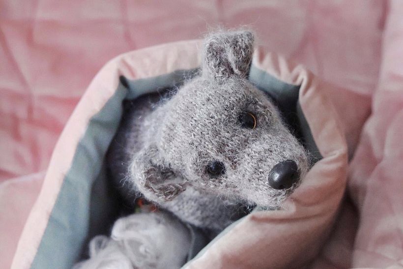 My project for course: Knitting Realistic Stuffed Animals: Make a Puppy from Yarn 3