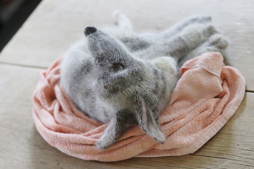 My project for course: Knitting Realistic Stuffed Animals: Make a Puppy from Yarn 3