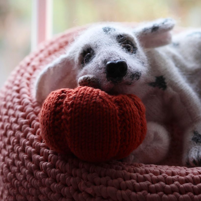 My project for course: Knitting Realistic Stuffed Animals: Make a Puppy from Yarn 4