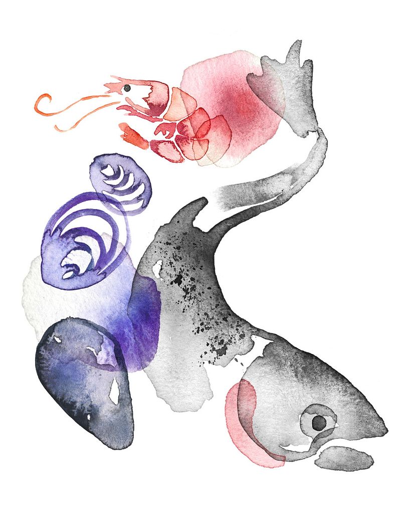 Food illustrations 4