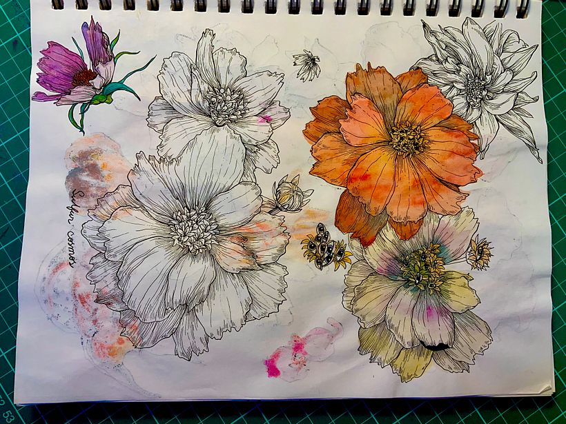 Practice  2