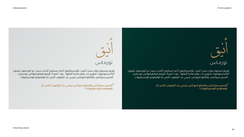 My project for course: Strategy-Based Brand Identity Design 13