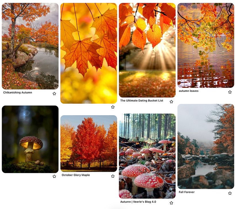 Moodboard