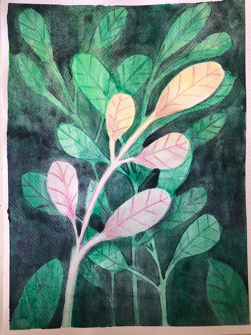Mi proyecto del curso: Técnicas de ilustración con acuarela y gouache 3
