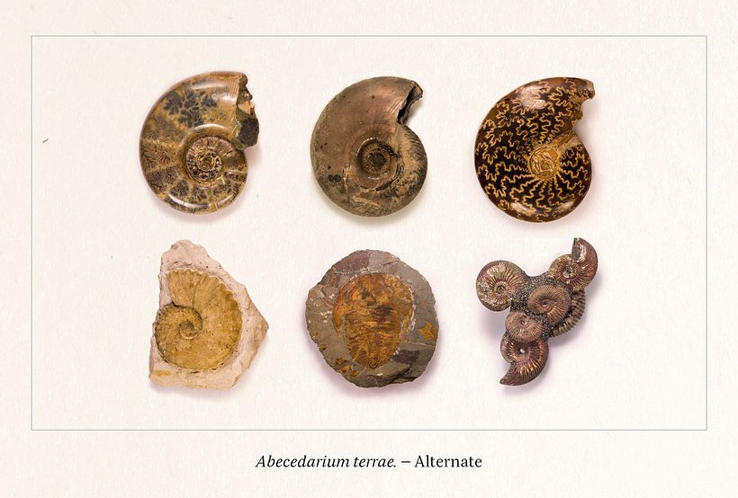 Abecedarium terrae 6