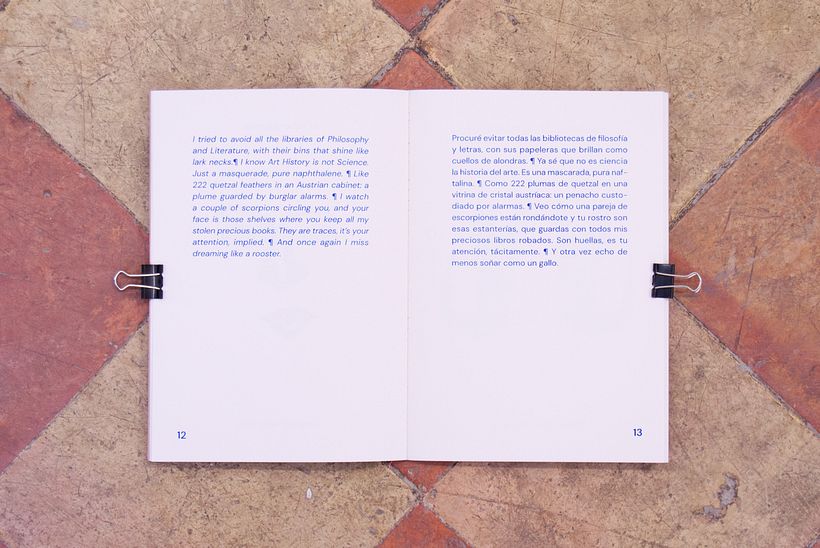 Mascarade: Cantos para adornarse 15