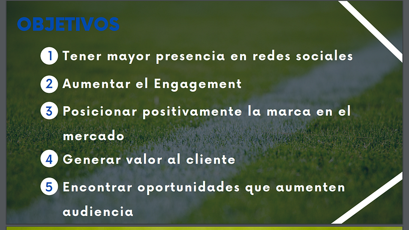 Mi proyecto del curso: Introducción al community management 3