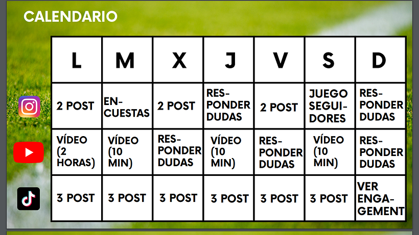 Mi proyecto del curso: Introducción al community management 6