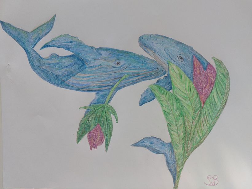 Mijn project van de cursus: Surrealistisch illustreren met de natuur als inspiratie 1