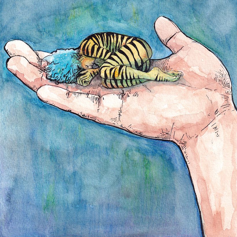 Unveiling the Magic 2