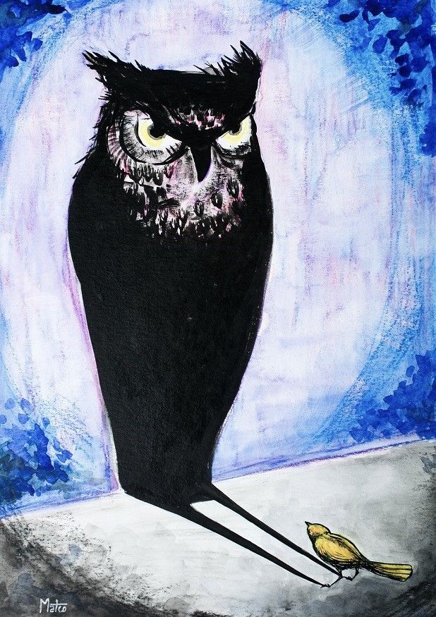 Unveiling the Magic 5