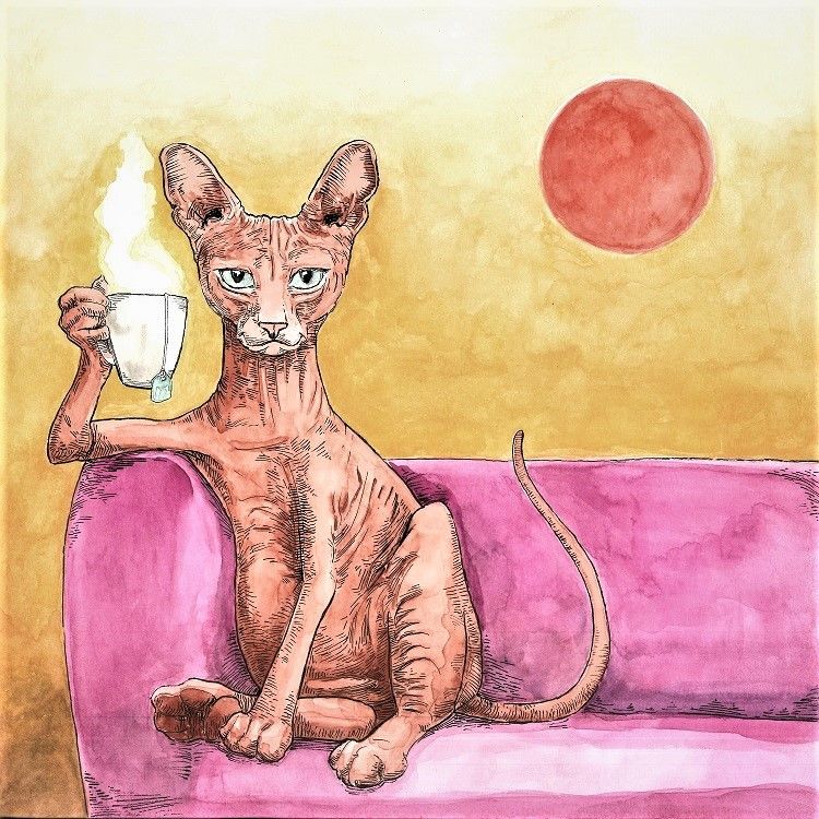 Unveiling the Magic 6