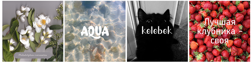 My project for course: How to Choose Fonts 3
