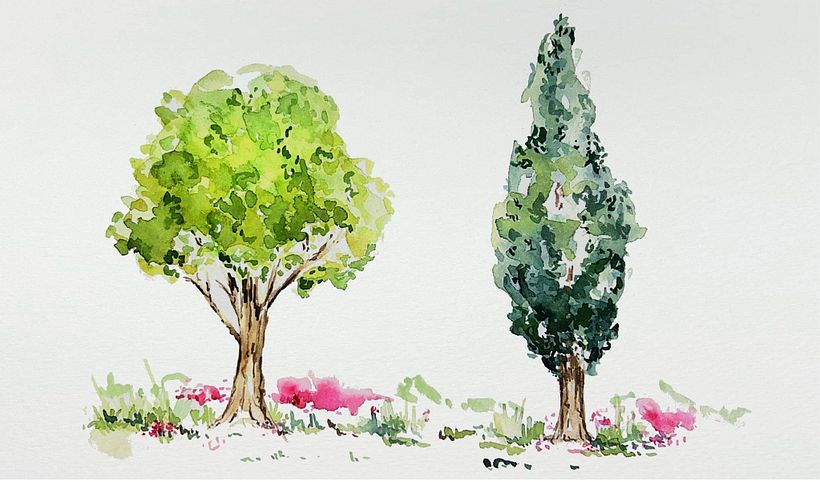My project for course: Botanical Watercolor Sketchbook 1