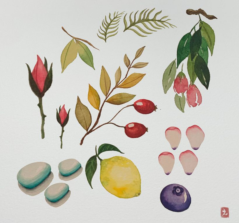 My project for course: Botanical Watercolor Sketchbook 2