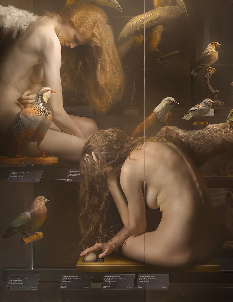 Intimate Collection of Melancholisms 4