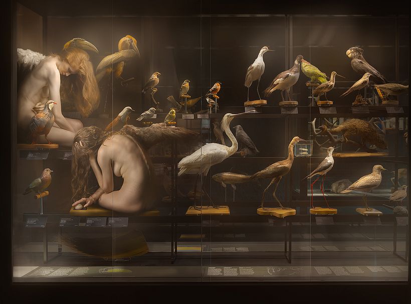 Intimate Collection of Melancholisms 6