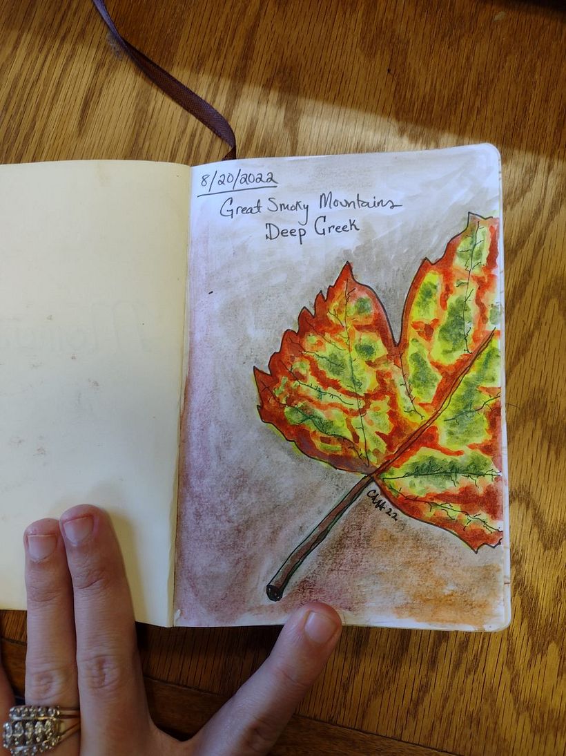 This is the first entry in the small daily sketchbook/journal I started keeping