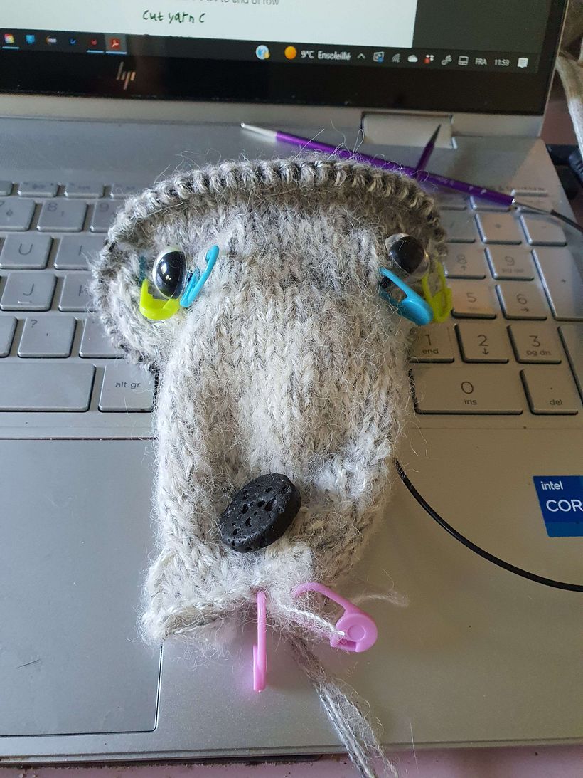 My project for course: Knitting Realistic Stuffed Animals: Make a Puppy from Yarn 2