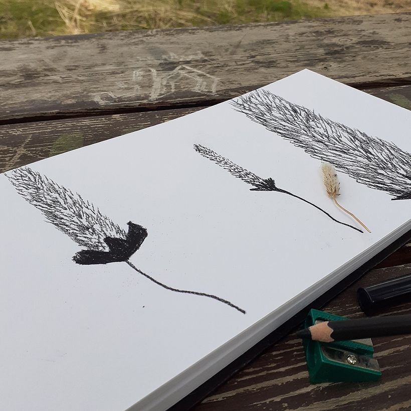 learning to draw