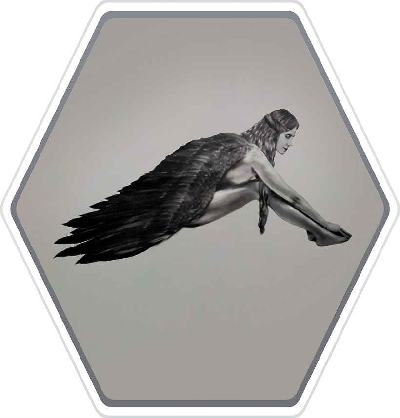 Resting Wings 1