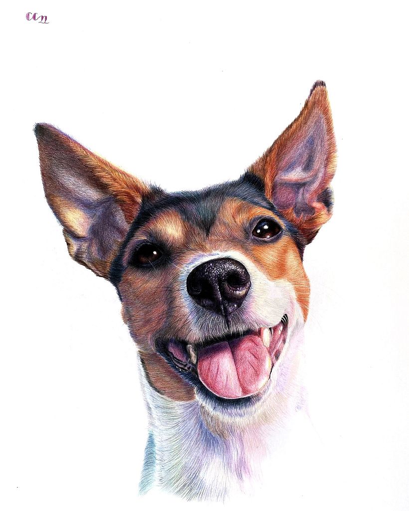 Retrato de Chela en lápices de colores