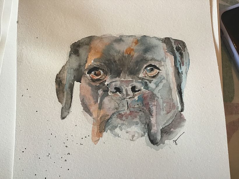 Mon projet du cours : Portraits expressifs d'animaux à l'aquarelle 1