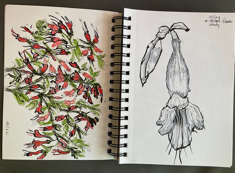 Other flower studies