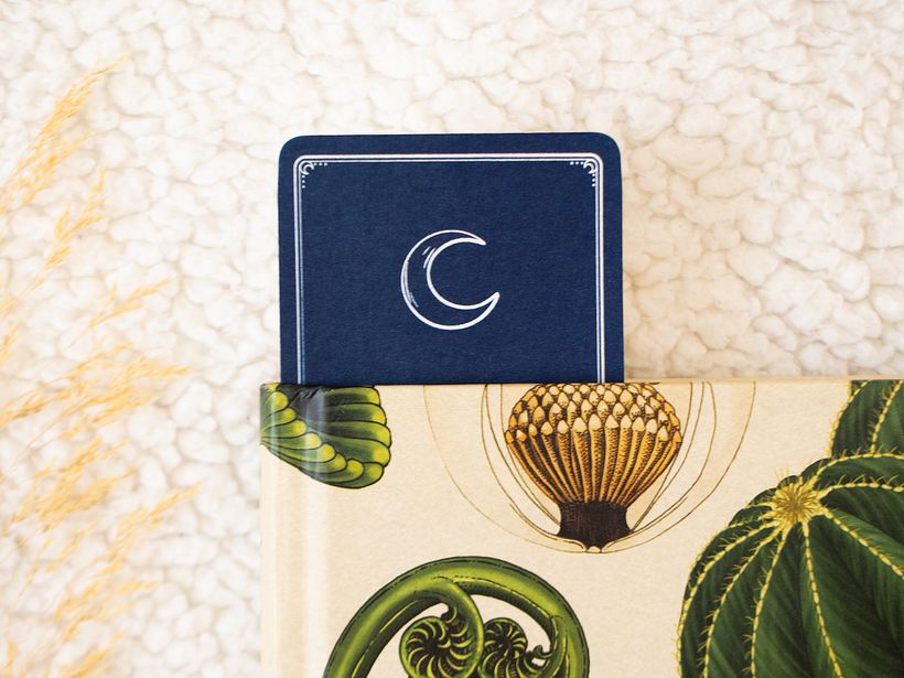 Cyanotype bookmarks 3