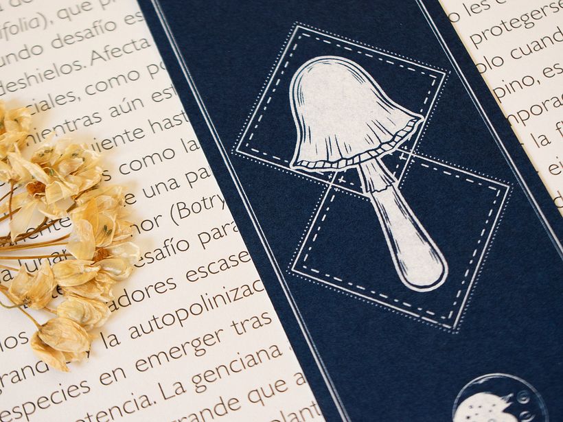 Cyanotype bookmarks 6
