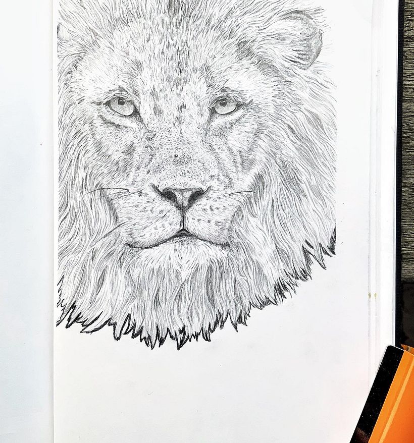 My project for course: Naturalistic Animal Drawing with Graphite Pencil 2