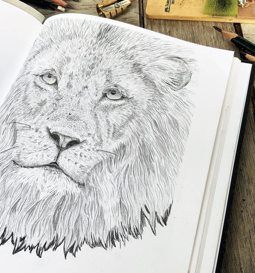 My project for course: Naturalistic Animal Drawing with Graphite Pencil 3