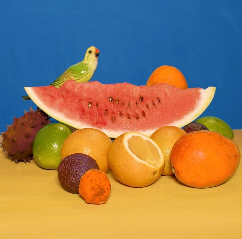 Ipanema + Frida Kahlo 5