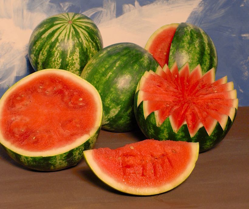 Ipanema + Frida Kahlo 7