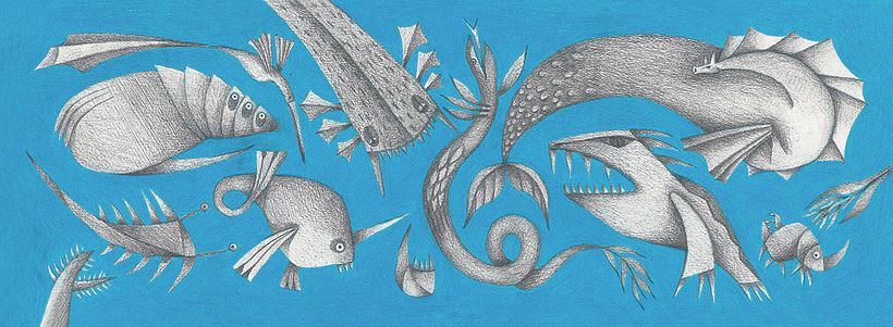 O mar de Cecilia 6