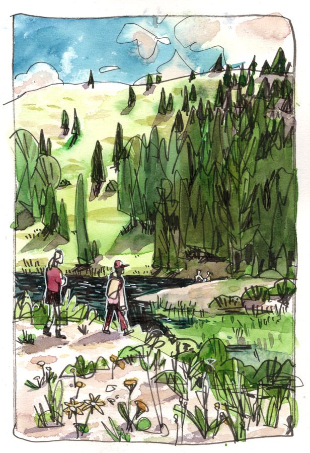 We took a wonderful hike in the Wasach mountains and saw many wildflowers, and baby salamanders in this pond!