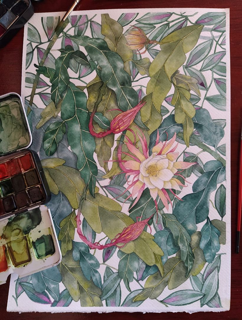 Flora de mi Region  2