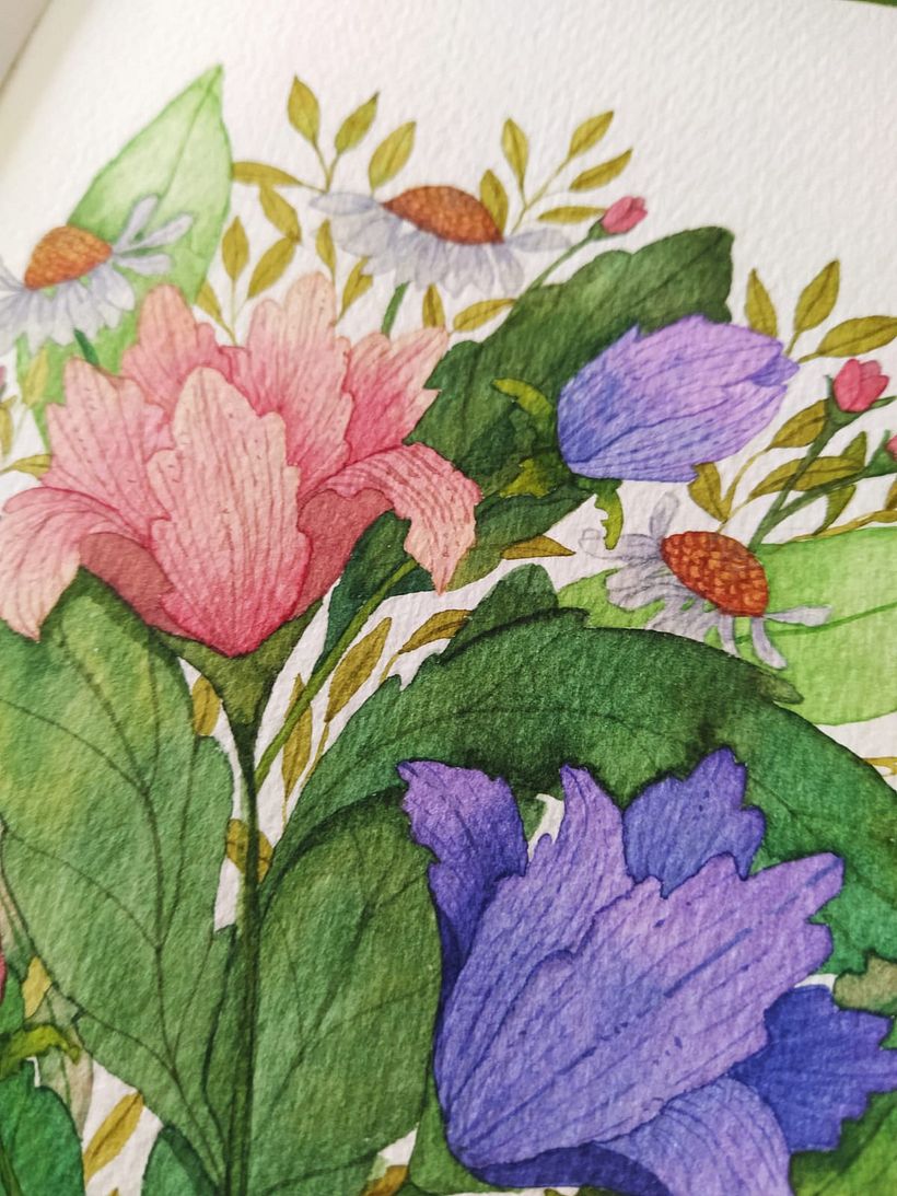 Flora de mi Region  3