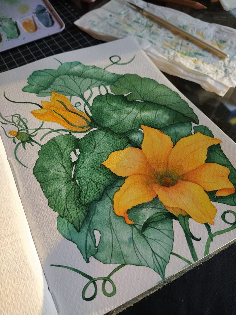 Flora de mi Region  4