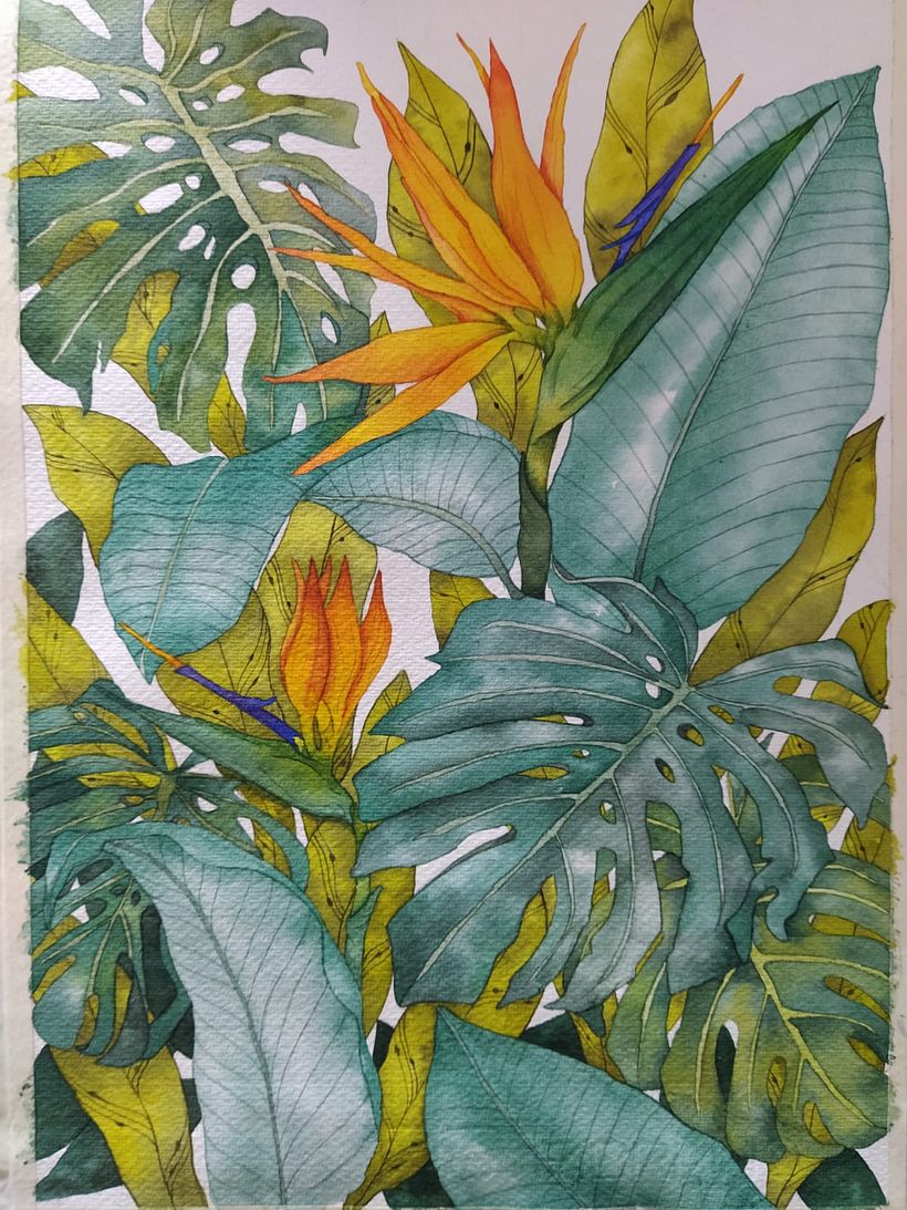 Flora de mi Region  5