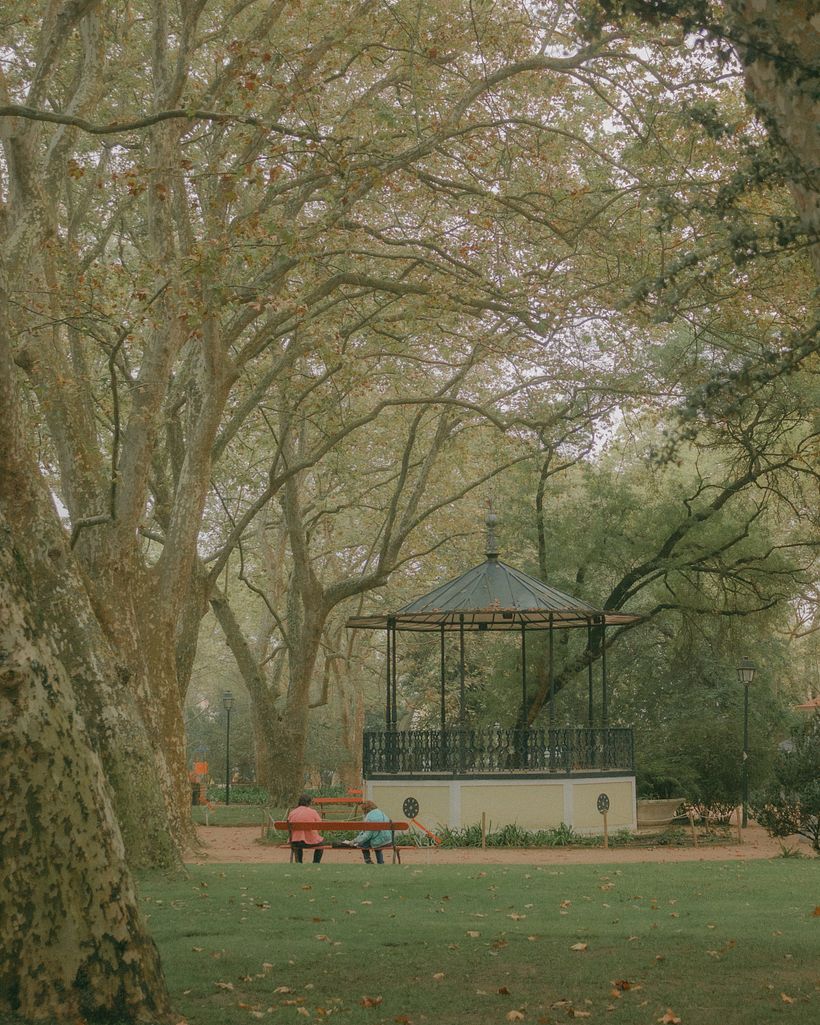A walk in the Park - Photography