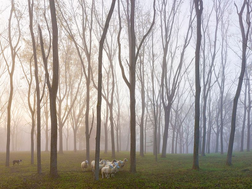 Jill's Keep, Hudson Valley, NY 2022