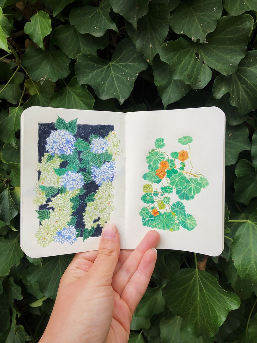 Flowers in Lézardrieux