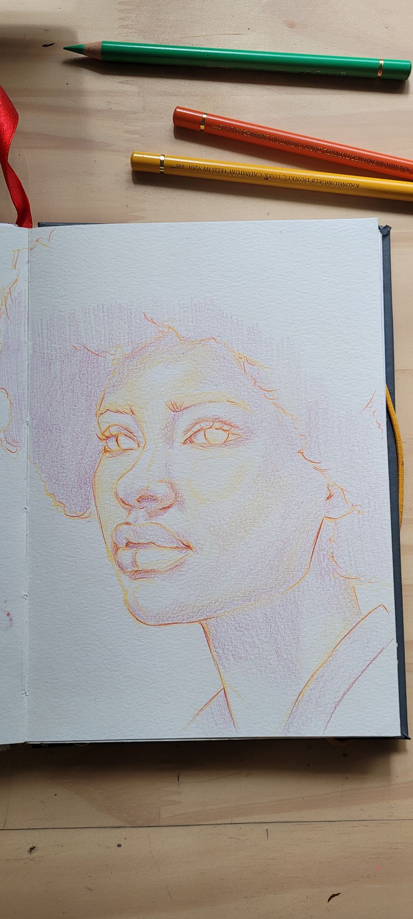 Meu projeto do curso: Desenho de retratos vibrantes com lápis de cor 9