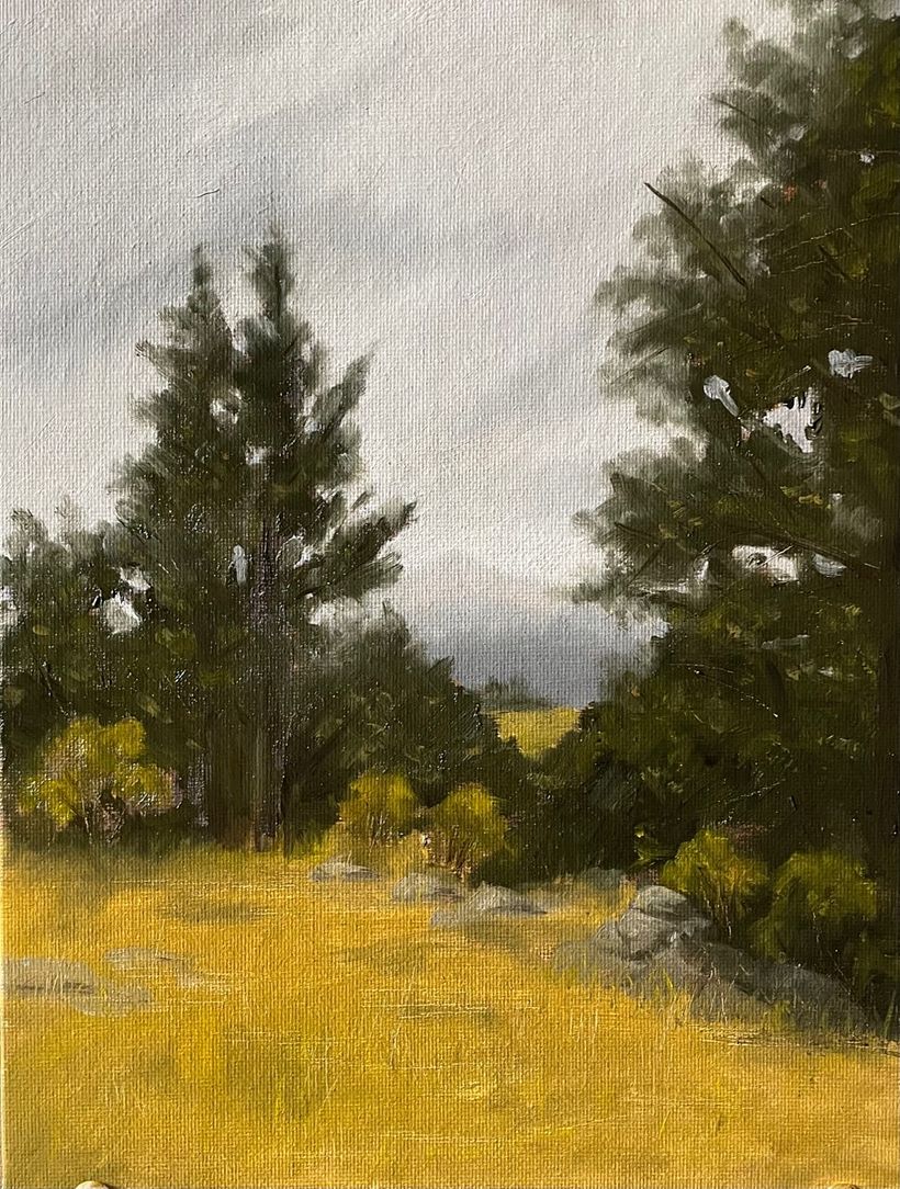 My project for course: Landscape Oil Painting with Plein-air Techniques - Bellas Artes