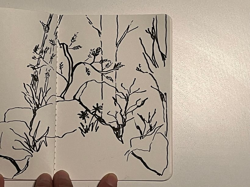 at the beach in south of sweden - sand, sea and vegetation