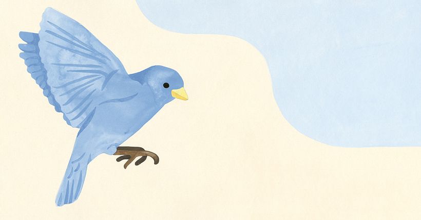 Un oiseau, une fleur 3