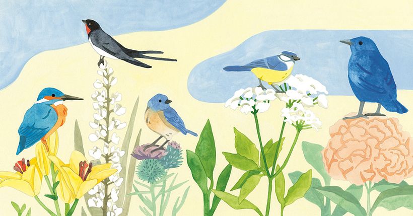 Un oiseau, une fleur 4